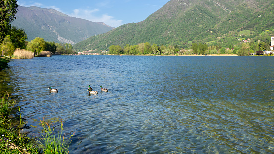 Endine lake, Bergamo, Italy. Wonderful view of the lake in summer. Touristic destination. The lake is a protected natural environment classified as a natural park