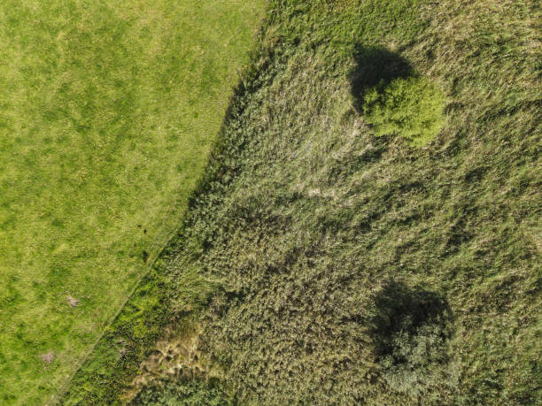 istock Paddocks and Swamps 2148662076