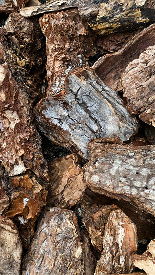 Wooden mulch bark close-up textures
