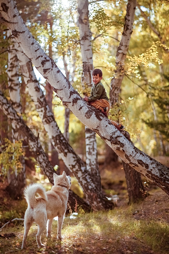 мальчик играется на прогулке с собакой в лесу