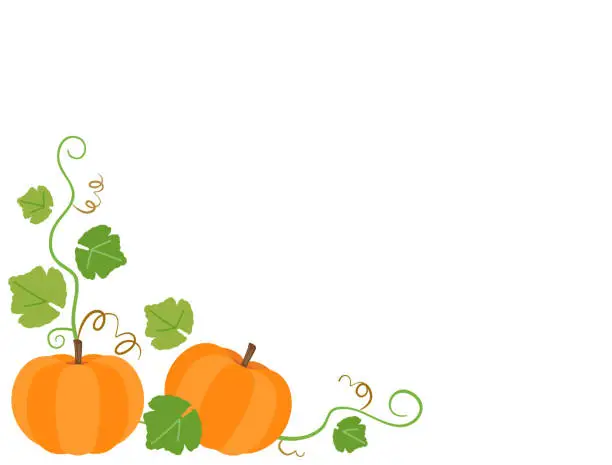 Vector illustration of Illustration of orange pumpkin, vines and leaves