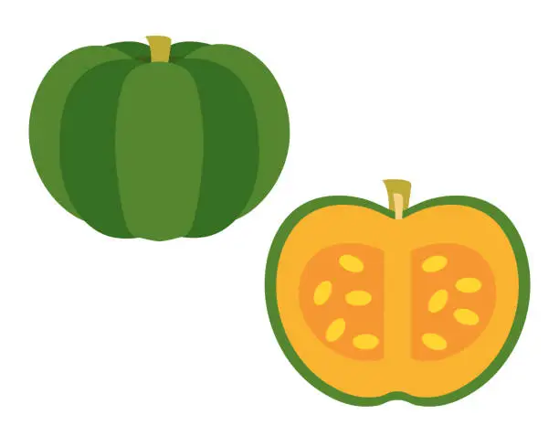 Vector illustration of Illustration of green pumpkin and cross section