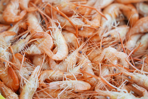 Stemed river  shrimps，Chinese cuisine