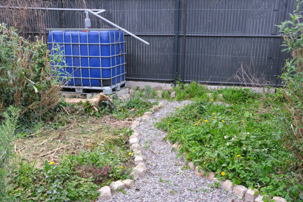 istock flowerbed covered with mulch and ground cover plants 2148665479