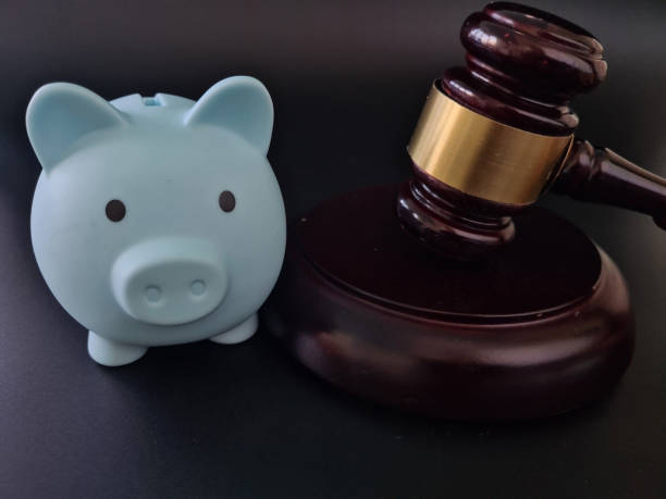 istock Piggy Bank Beside Judges Hammer 2148667258