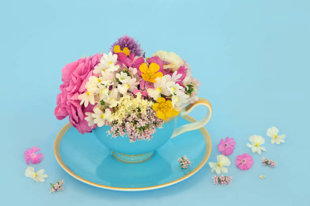 istock Surreal Flower and Wildflower Teacup Abstract 2148668473