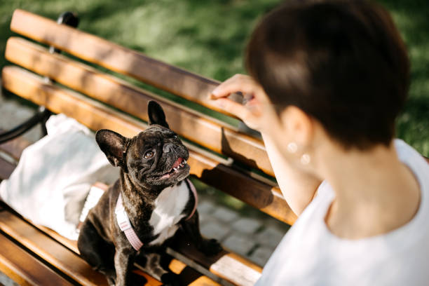 Woman in the park with her dog