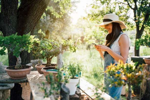 istock Beautiful woman transplanting bonsai a into a new pot while using smartphone 2148669880