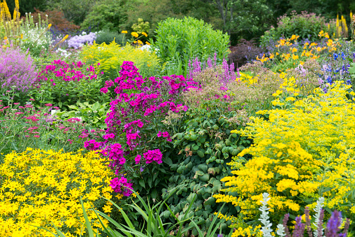 Multicolored flowerbeds in Botanical garden