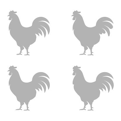 Rooster icon on a white background, vector illustration