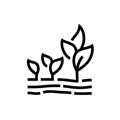 Plant growth stage line icon. Farming and agriculture.