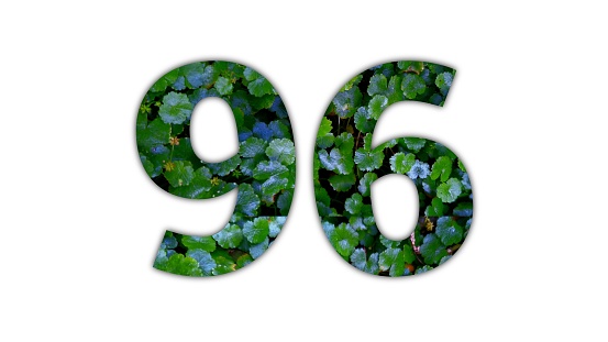 Design number 96 with leaf texture on white background