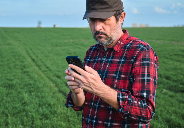 istock Farmer using mobile smartphone in wheat seedling field, smart farming concept 2148672164