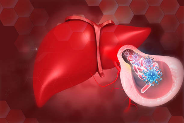istock Human liver anatomy with hepatitis b virus 2148675579