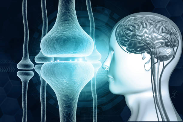 Brain with a web of neural implants in one hemisphere