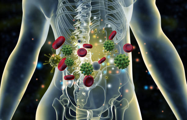 Human body anatomy with virus bacteria Human body anatomy with virus bacteria. 3d illustration autoimmune disease stock pictures, royalty-free photos & images