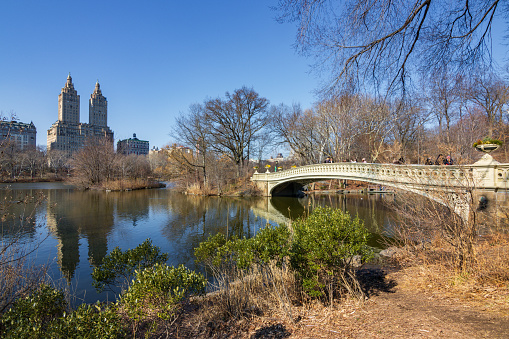 Beautiful view of central park in New York City (USA)