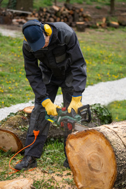 istock A man in uniform is cutting an old tree in the yard with an electric saw. 2148676527