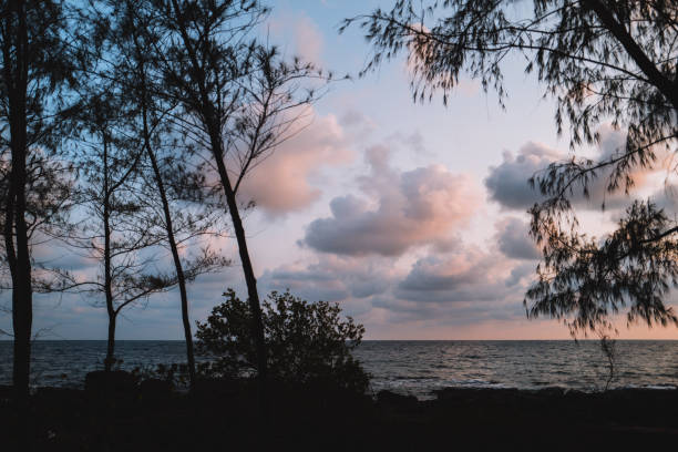 Explore the Jungle and Sea in Vietnam
