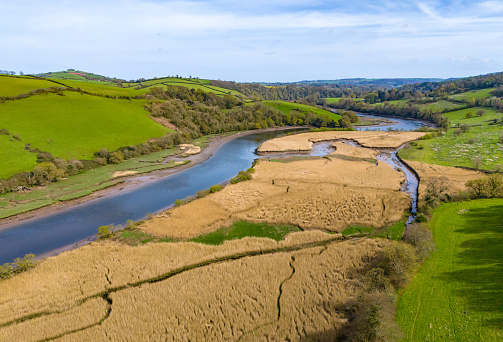 Marshland and River Dart in Devon