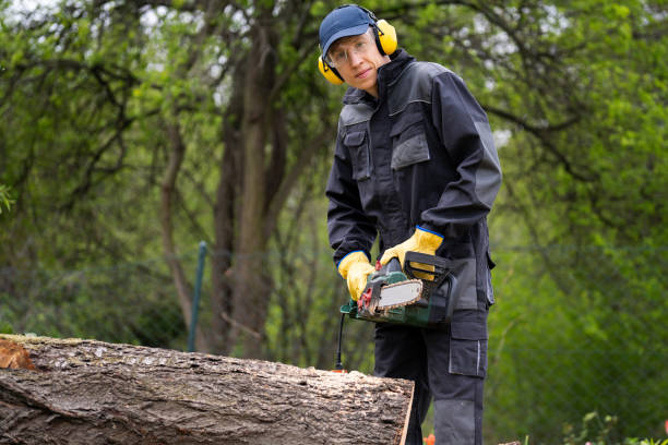 istock A man in uniform is cutting an old tree in the yard with an electric saw. 2148677555