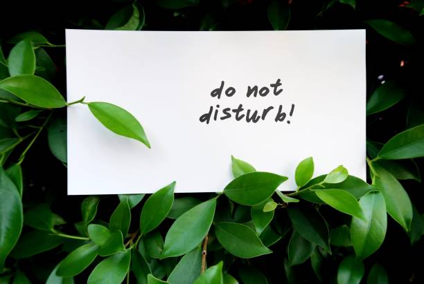 istock A white paper note in the tree bush , with text written DO NOT DISTURB! Concept of refrain from disturbing, need privacy. 2148677688