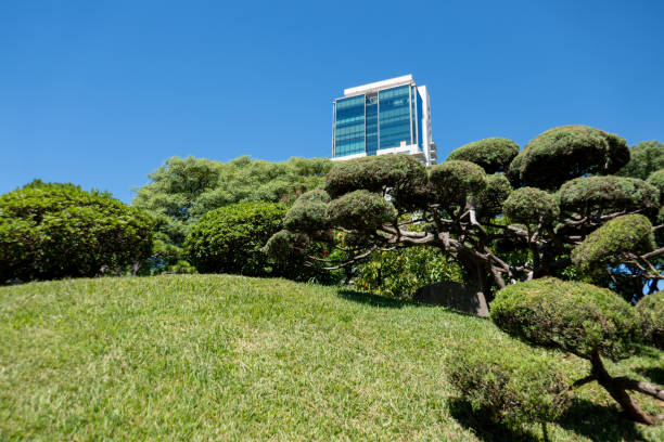 The Japanese garden of Buenos Aires is one of the largest outside of Japan. It´s a beautiful and mystic garden in the middle of the busy town of B.A.