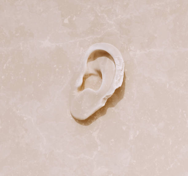 Otitis media, a group of inflammatory diseases of the middle ear. Computer illustration showing a man with highlighted structures of the middle and inner air and accumulation of the pus in the middle air.