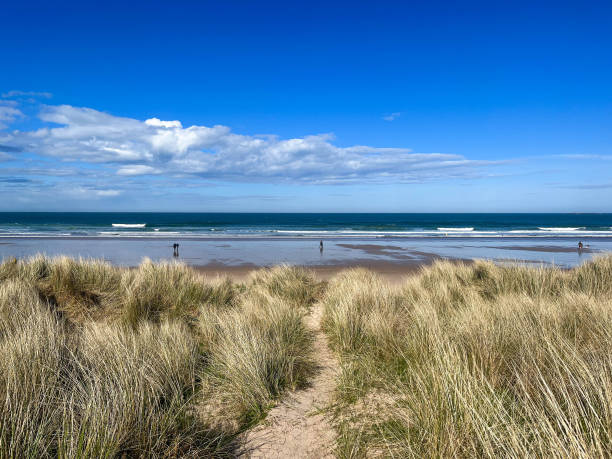 istock Bamburgh Beach sand dunes, Northumberland, England 2148679221