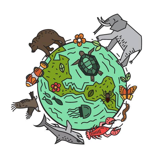 istock Biodiversity, biological diversity. Variety of life on Earth. 2148680173