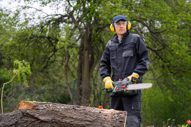 istock A man in uniform is cutting an old tree in the yard with an electric saw. 2148681041