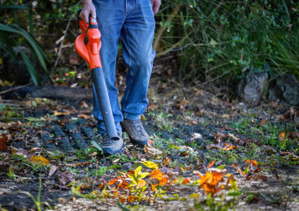 istock Man cleaning fallen autumn leaves using a leaf blower in the backyard. Leaves flying in the air. Auckland. 2148682566