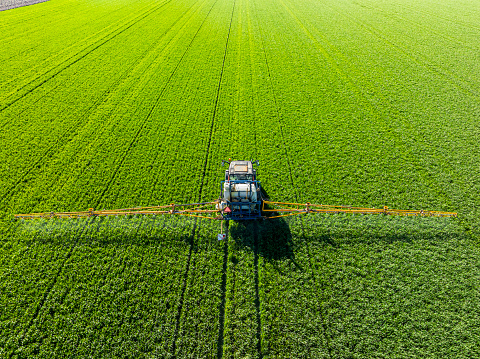 Agriculutural crops sprayer spraing herbicides, pesticides or fertilizers on a green field during springtime in Flevoland, Netherlands.