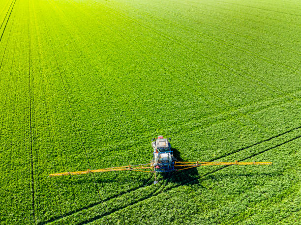 istock Agriculutural crops sprayer in a wheat field seen from above 2148683009