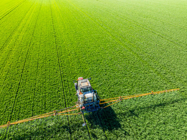 istock Agriculutural crops sprayer in a wheat field seen from above 2148683018