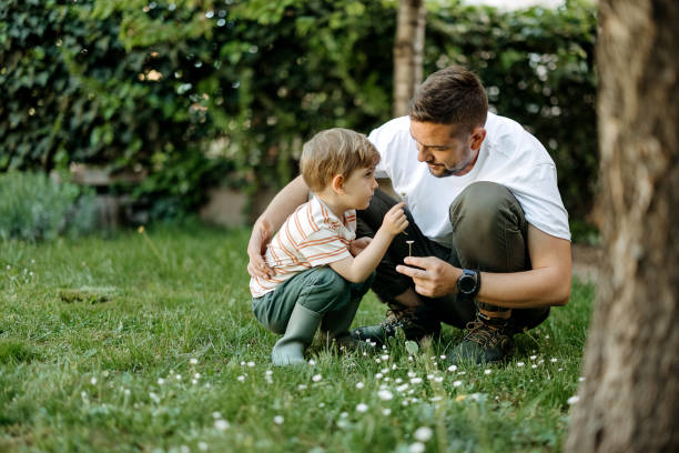 Little boy and his father play with dandelions