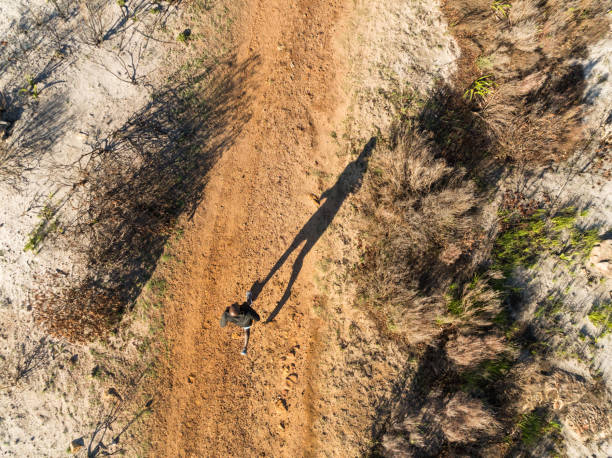 istock Dirt road runner with hard shadow from above in the early morning 2148683817