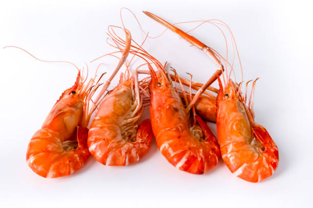 Shrimp  simply offered on a wooden spoon isolated on a white background