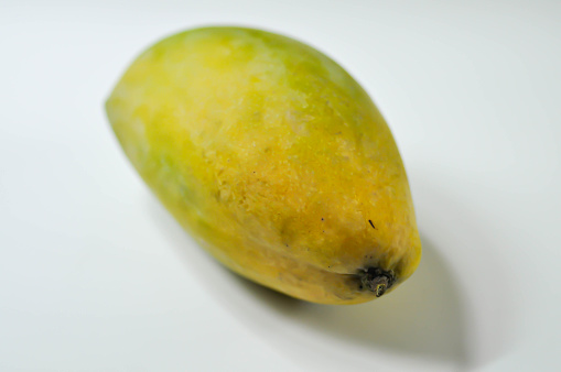 Mangifera indica, mango or mango seed or ripe mango or yellow mango