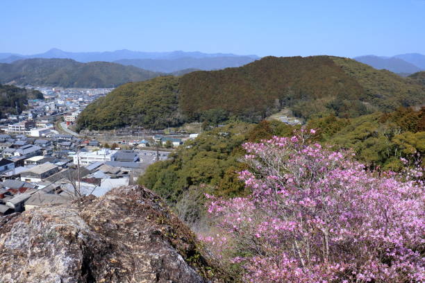 istock View of Sakawa town from Monomi Rock,Spring (Makino Park, Kochi Prefecture) 2148685798