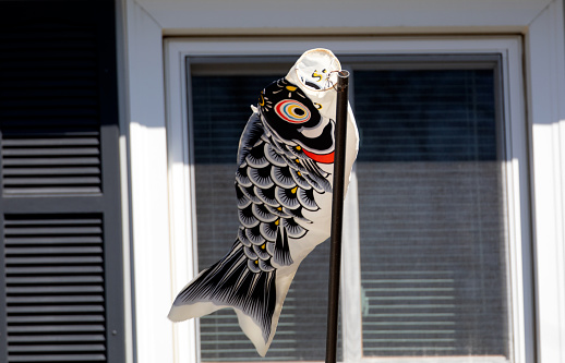 Japanese carp windsock representing children new child birth.