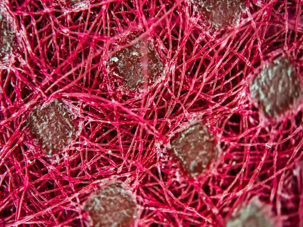 Super Macro photography of fabric textile which is shot with microscopic lens