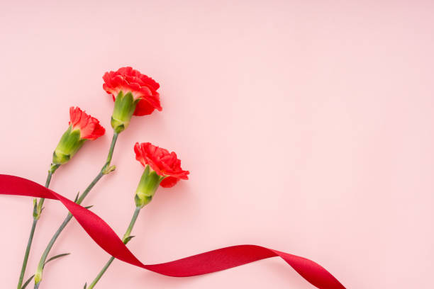 istock Flowers, carnations, Mother's Day, presents. 2148689242