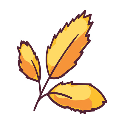 Autumn ash tree leaf foliage stroked illustration. Tree leaf, herbarium. Simple cartoon multicolored vector hand drawn isolated on white background