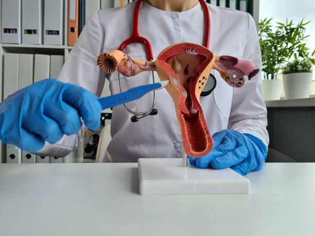Gloved hand of doctor stretches scalpel to female reproductive system. Surgery to remove the uterus concept Gloved hand of doctor stretches scalpel to female reproductive system septum stock pictures, royalty-free photos & images