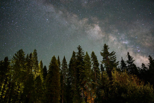 A Starry Night Camping in Calaveras California