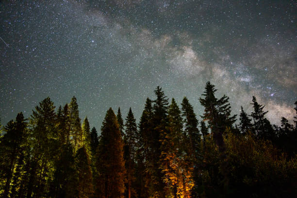A Starry Night Camping in Calaveras California
