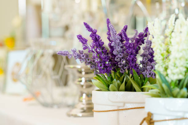 A variety of potted plants and vibrant flowers are arranged on a wooden table, featuring shades of purple, yellow, and green. The collection includes succulents and blooming plants, creating a cozy and natural indoor atmosphere.
