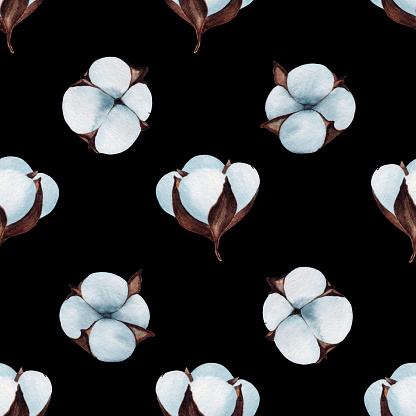 Seamless Pattern with Blue Cotton Flowers on a Black Background. Floral Ornament. Print For Paper and Textile.