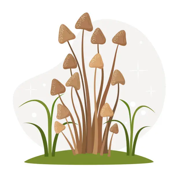 Vector illustration of Vector illustration. Edible, non-poisonous mushrooms on thin stalks of grass. Russula mushroom. Brown mushrooms.